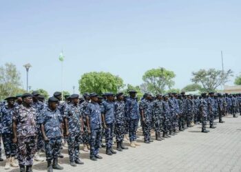 State Police will kill democracy – Ex-VON DG 