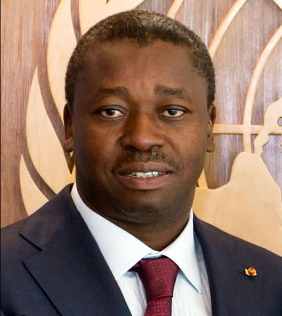 WADEMOS to Togo President: Postpone the promulgation of new constitution
