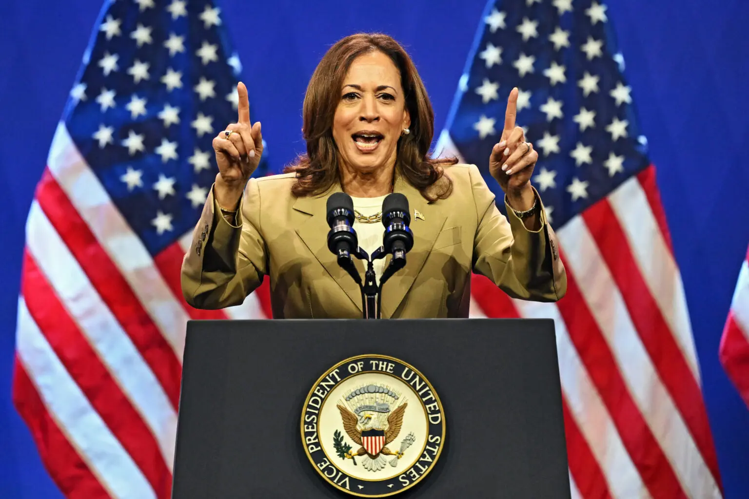 US election: Kamala Harris set to announce running mate - Blueprint ...