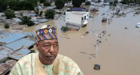 As UN team arrives Maiduguri… NAF begins airlift of relief materials for flood victims