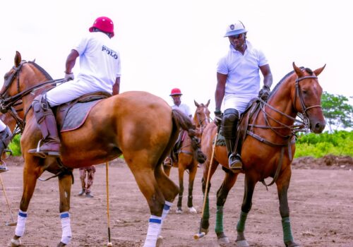 Ogun: Abiodun performs ground breaking of Abeokuta Polo Club 2 1002286258