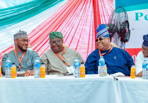 At 99th NEC, PDP vows to fight on despite defections 2 FB IMG 1748410841084