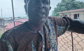 Killers on the prowl as harmful pesticides poison consumers, drain farmers' purse 1 972b1685 d805 485d beba 5d1d077471d4